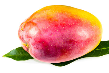 Mangue 