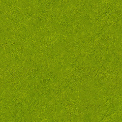 natural color of green swamp water surface with grass fragments theme seamless square pattern...