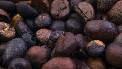Coffee beans closeup with selective focus and crop fragment