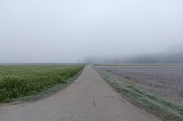 Empty road in countryside on a foggy day