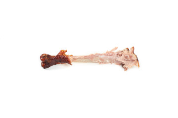 turkey bone after eating , isolated on a white background.