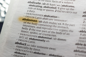 The word or phrase Abdomen in a dictionary.