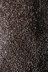 Mixture of different kinds of coffee beans. Coffee Background