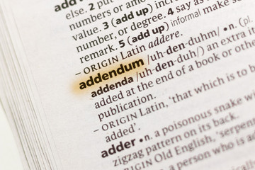 The word or phrase Addendum in a dictionary.