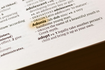 The word or phrase Adonis in a dictionary.
