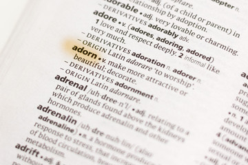 The word or phrase Adorn in a dictionary.