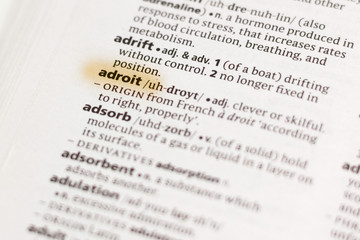 The word or phrase Adroit in a dictionary.
