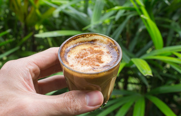 Latte Coffee in Human Hand on Green Tree Background
