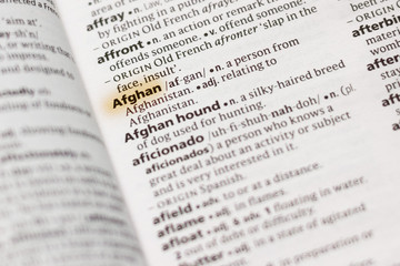 The word or phrase Afghan in a dictionary.