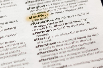The word or phrase Afterlife in a dictionary.