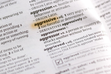 The word or phrase Aggressive in a dictionary.