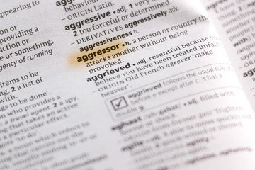 The word or phrase Aggressor in a dictionary.