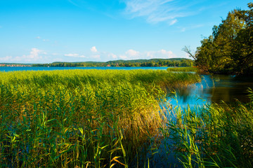 Panoramic view of Wulpinskie Lake at the Masuria Lakeland region in Poland in summer season © Art Media Factory