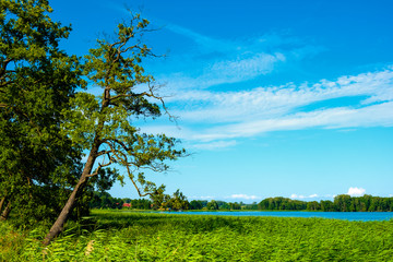 Panoramic view of Wulpinskie Lake at the Masuria Lakeland region in Poland in summer season © Art Media Factory