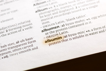 The word or phrase Albumin in a dictionary.