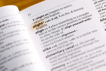 The word or phrase Alight in a dictionary.