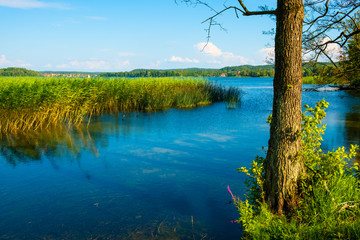 Panoramic view of Wulpinskie Lake at the Masuria Lakeland region in Poland in summer season