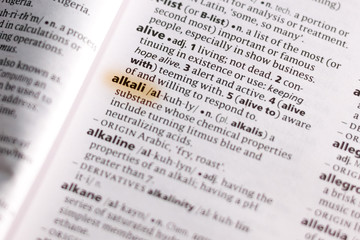 The word or phrase Alkali in a dictionary.