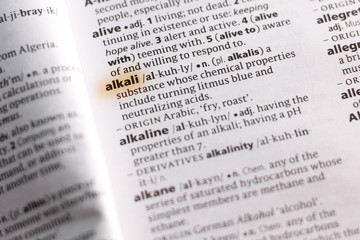The word or phrase Alkali in a dictionary.