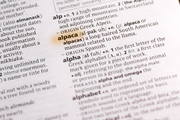 Fototapeta premium The word or phrase Alpaca in a dictionary.