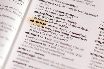 The word or phrase Amortize in a dictionary.