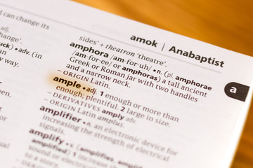 The word or phrase Ample in a dictionary.