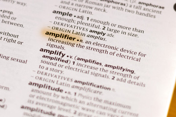 The word or phrase Amplifier in a dictionary.