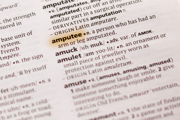The word or phrase Amputee in a dictionary.