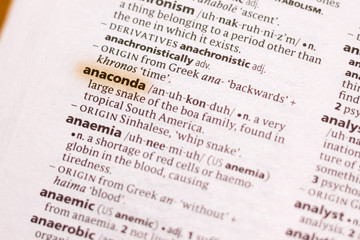 The word or phrase Anaconda in a dictionary.