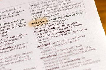 The word or phrase Andante in a dictionary.