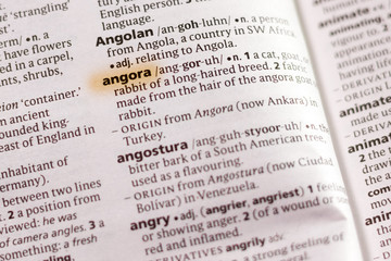 The word or phrase Angora in a dictionary.