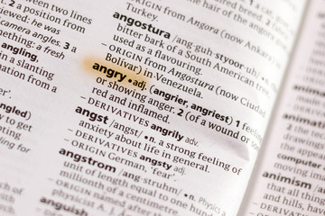 The word or phrase Angry in a dictionary.