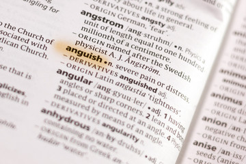 The word or phrase Anguish in a dictionary.