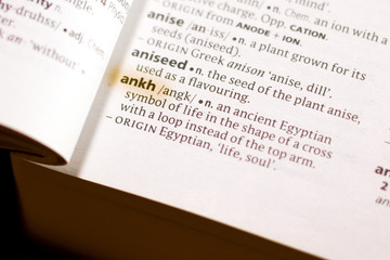 The word or phrase Ankh in a dictionary.