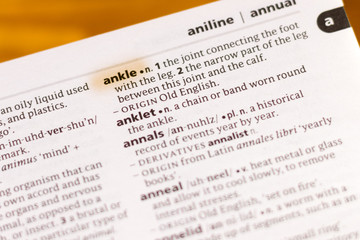 The word or phrase Ankle in a dictionary.