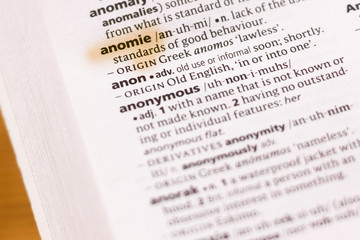 The word or phrase Anomie in a dictionary.