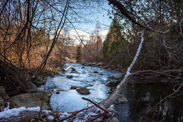 winter forest creek