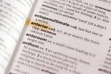 The word or phrase Anterior in a dictionary.