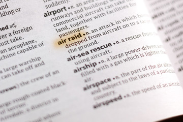 The word or phrase Ari Raid in a dictionary.