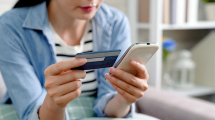 young housewife shopping online on boxing day