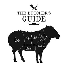 Mutton and lamb cut lines diagram graphic poster, guide for butcher