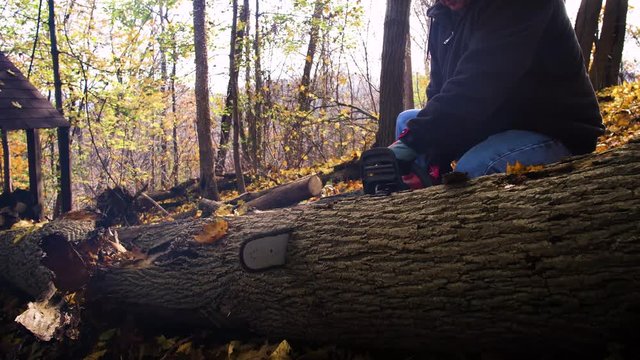 Cutting a downed tree for firewood