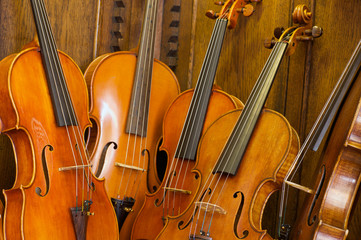 Gruppe von Geigen