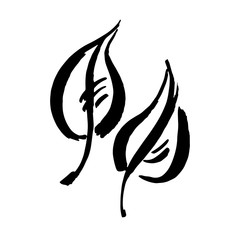 Leaf icons isolated on white background. Logo sign design. Modern brush ink illustration. Vector