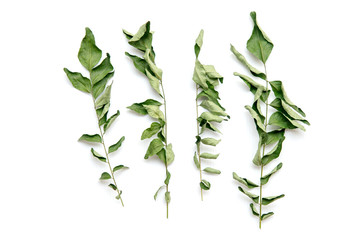 Dried curry leaves
