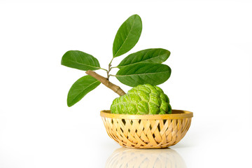 Custard apple isolated on white background Famous Asian noni fruit