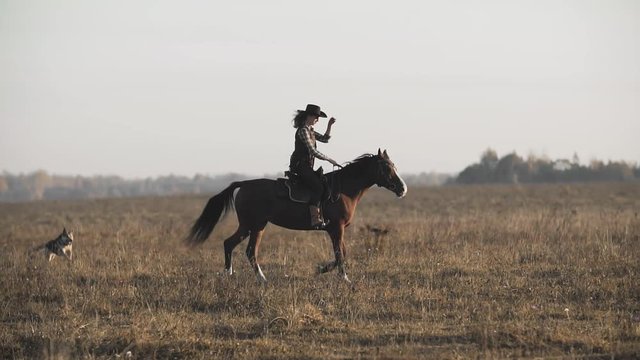 Beautiful woman riding a horse in background sunrise in field. Young cowgirl at brown horse in slow motion outdoors with happy dog