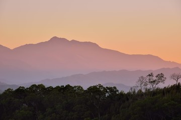 Fog,in the forest on the mountains of Taiwan.