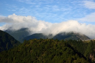 Obraz na płótnie Canvas Fog,in the forest on the mountains of Taiwan.
