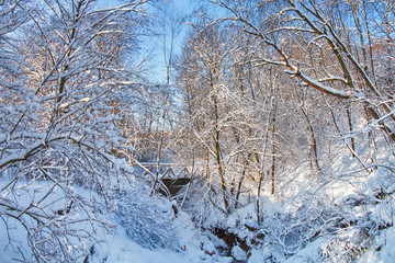 Beautiful winter landscape with a river in the forest